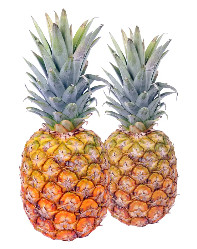 Pair of Fresh Pineapples