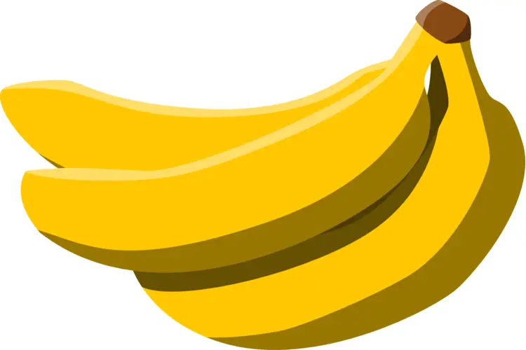 Bunch of Yellow Bananas