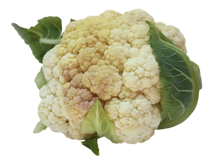 Fresh White Cauliflower
