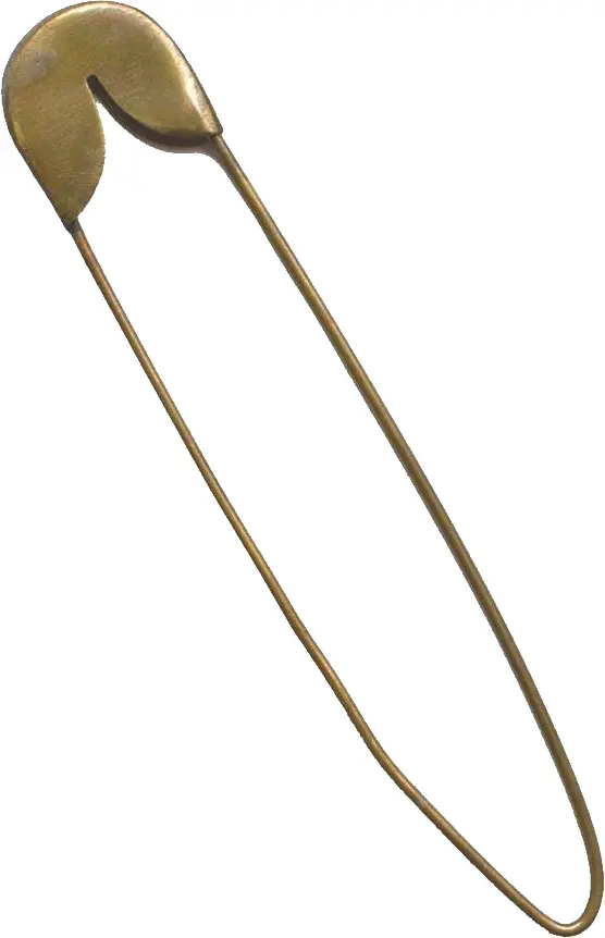 Bronze Safety Pin