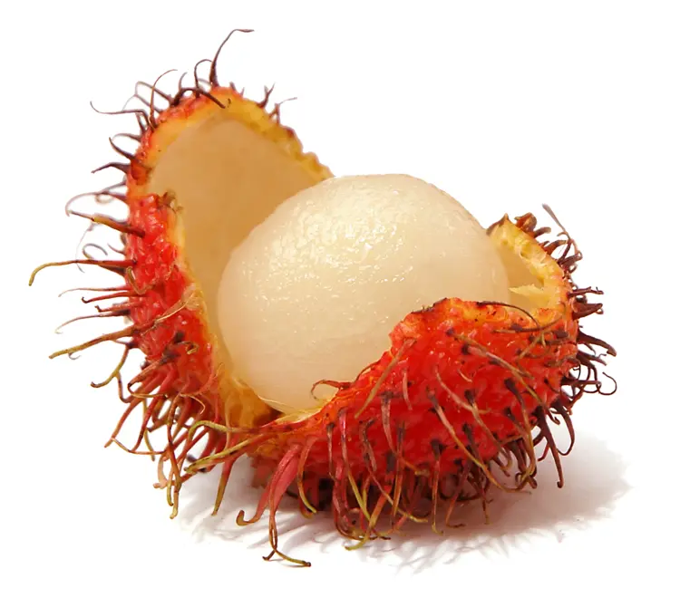 Juicy Rambutan Fruit