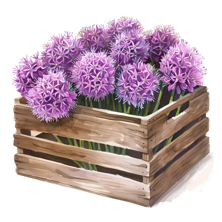 Purple Flowers in Wooden Crate Illustration