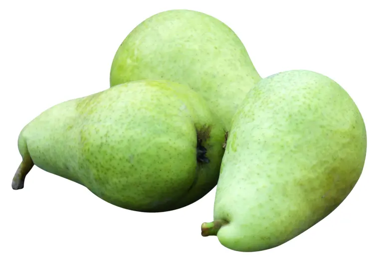 Three Green Pears on Transparent Background