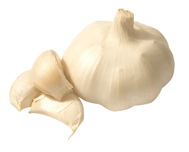 Fresh White Garlic
