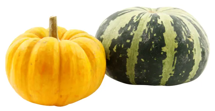 Orange and Green Pumpkins