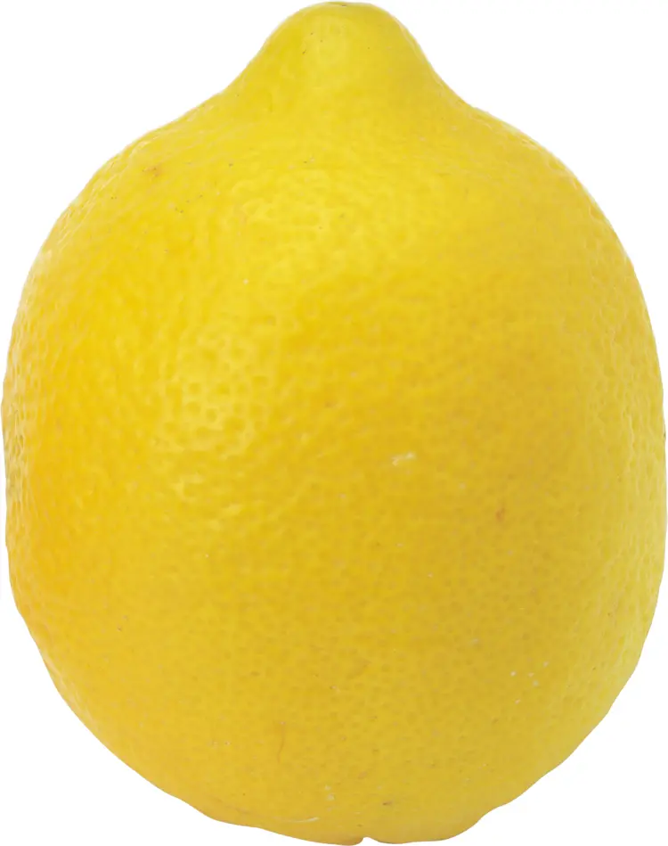 Single Fresh Yellow Lemon