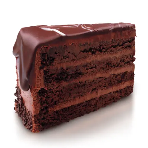 Rich Chocolate Layer Cake Slice
