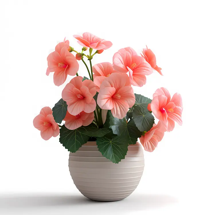 Pink Hibiscus in Decorative Pot
