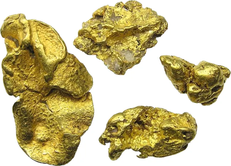 Collection of Gold Nuggets