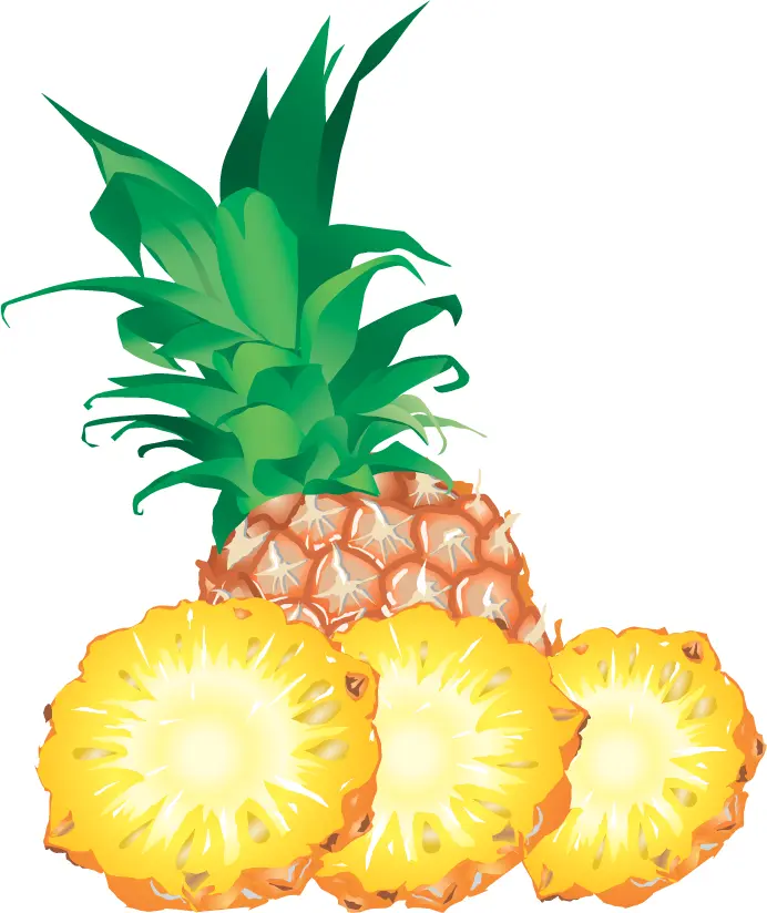 Juicy Pineapple Slices