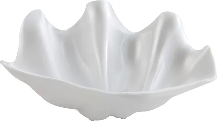 White Decorative Bowl for Home Decor