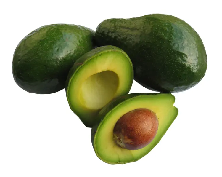 Fresh Green Avocado