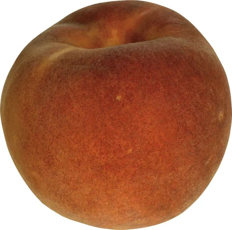 Single Juicy Peach
