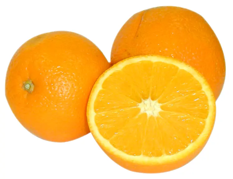 Oranges and Orange Slice
