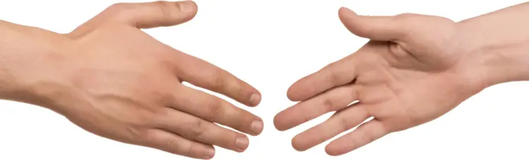 Handshake Gesture for Agreement