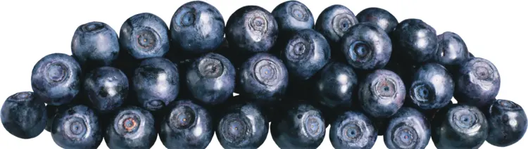 Cluster of Fresh Blueberries