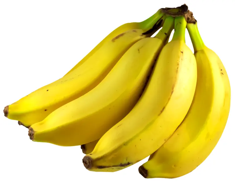 Bunch of Fresh Yellow Bananas