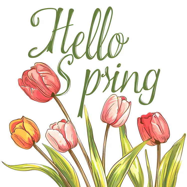 Spring Greeting with Pink Tulips
