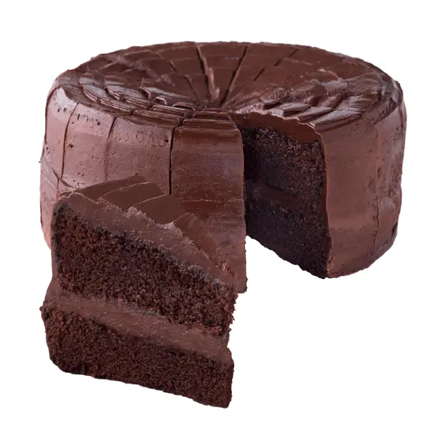 Delicious Chocolate Cake with a Slice