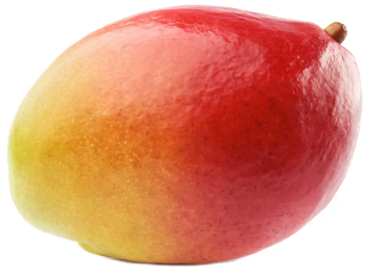 Ripe Mango