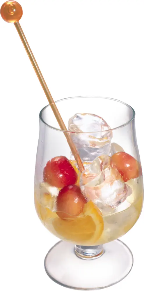 Refreshing Fruit Cocktail with Ice