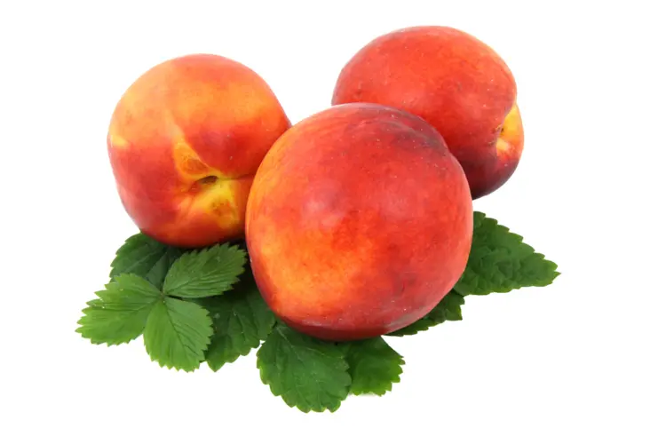 Fresh Juicy Peaches with Leaves