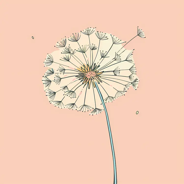Dandelion Illustration on Peach Background