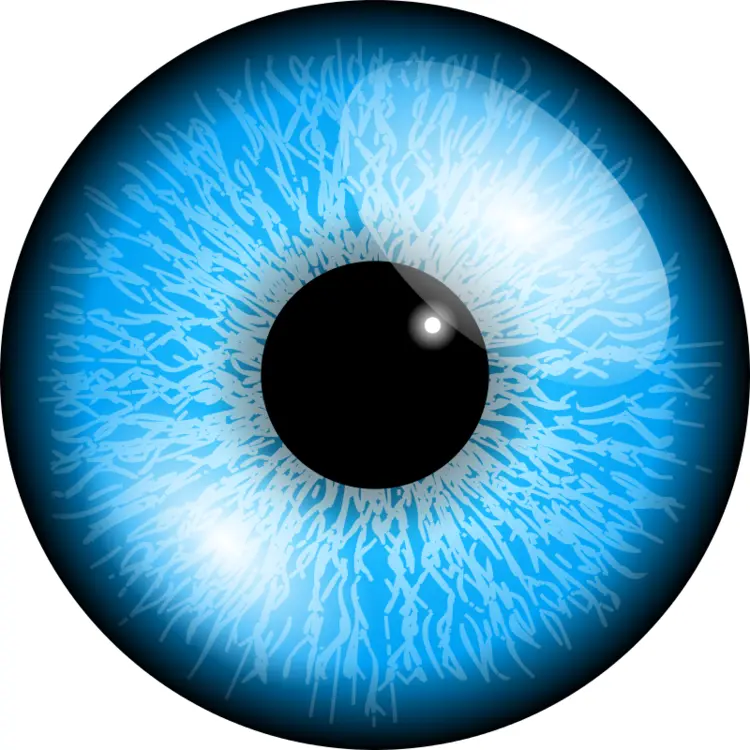 Blue Eye Illustration