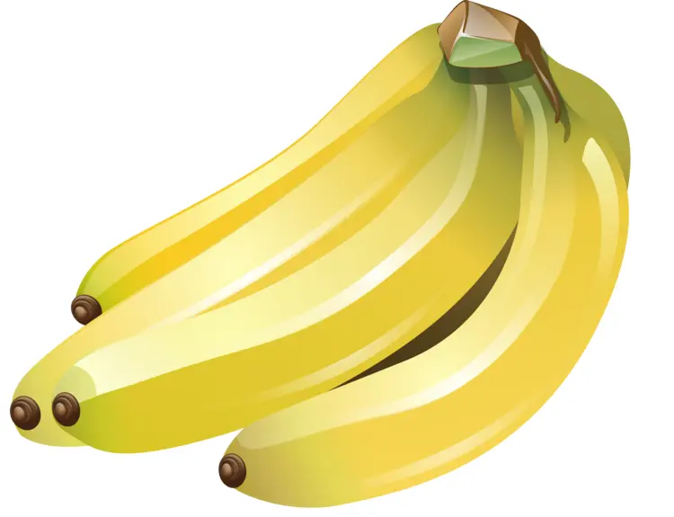 Yellow Bunch of Bananas