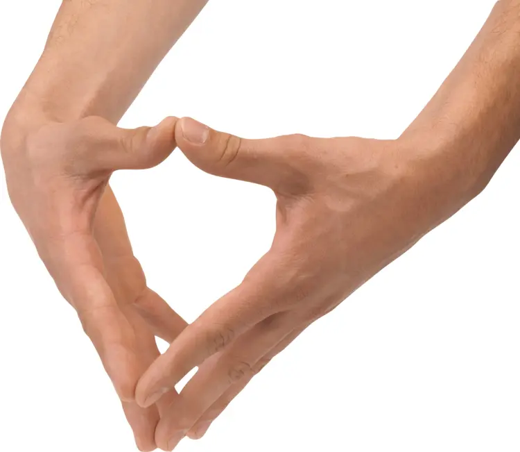 Heart Hand Gesture