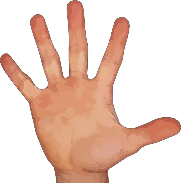 Hand with Open Palm