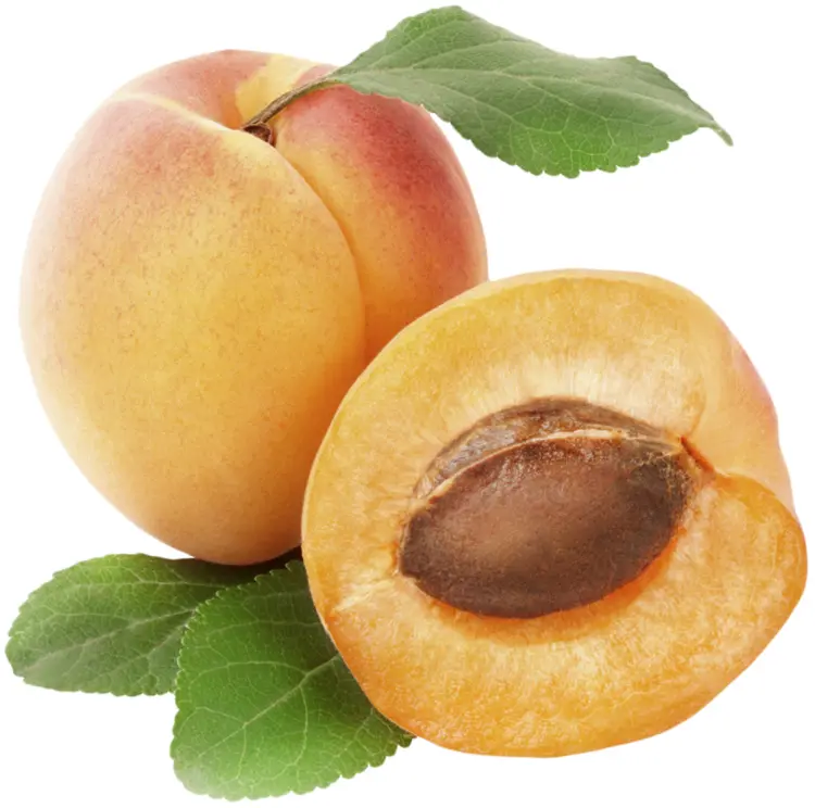 Fresh Apricot with Leaf and Seed