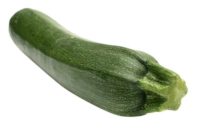 Fresh Green Zucchini