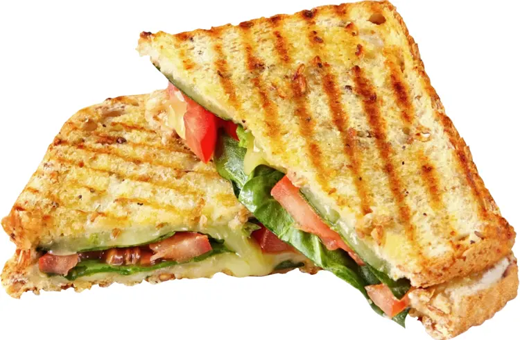 Grilled Sandwich with Vegetables