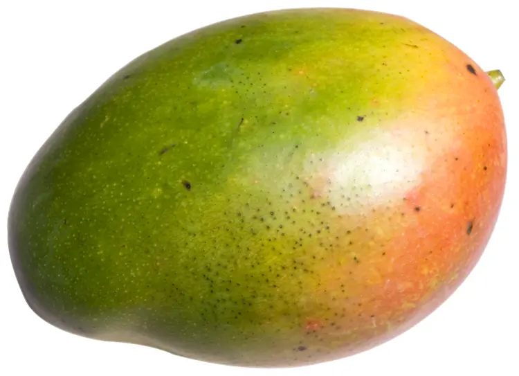 Green and Orange Mango