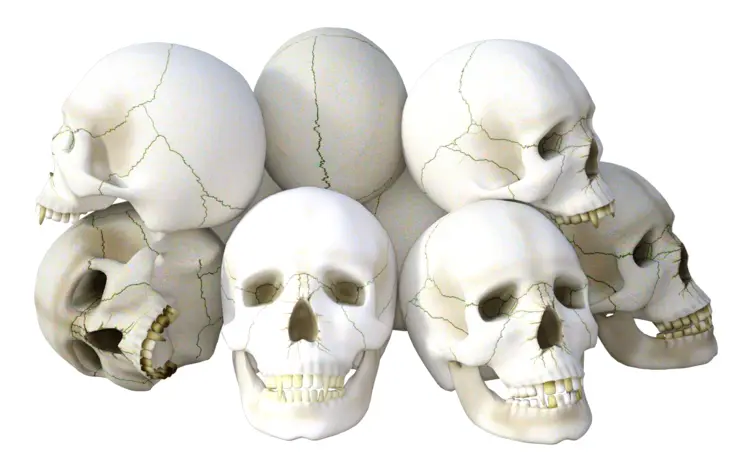 Pile of Skulls