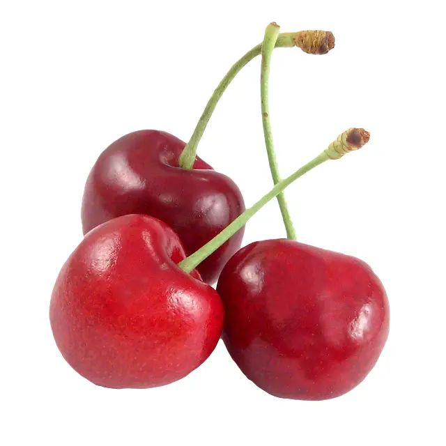 Three Fresh Red Cherries