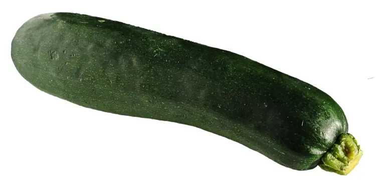 Dark Green Zucchini