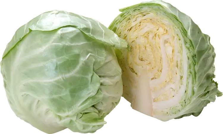 Whole and Sliced Green Cabbage