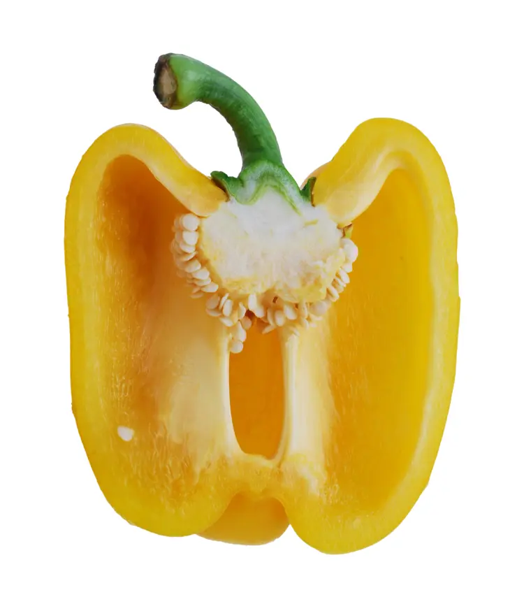 Yellow Bell Pepper Vegetable