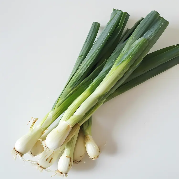 Fresh Green Onions on White Background