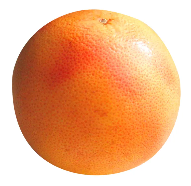 Whole Grapefruit