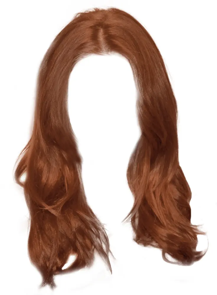 Brown Hair Wig