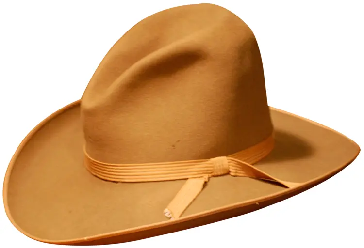 Stylish Brown Hat for Fashion
