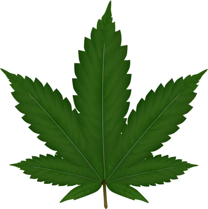 Green Cannabis Leaf Illustration