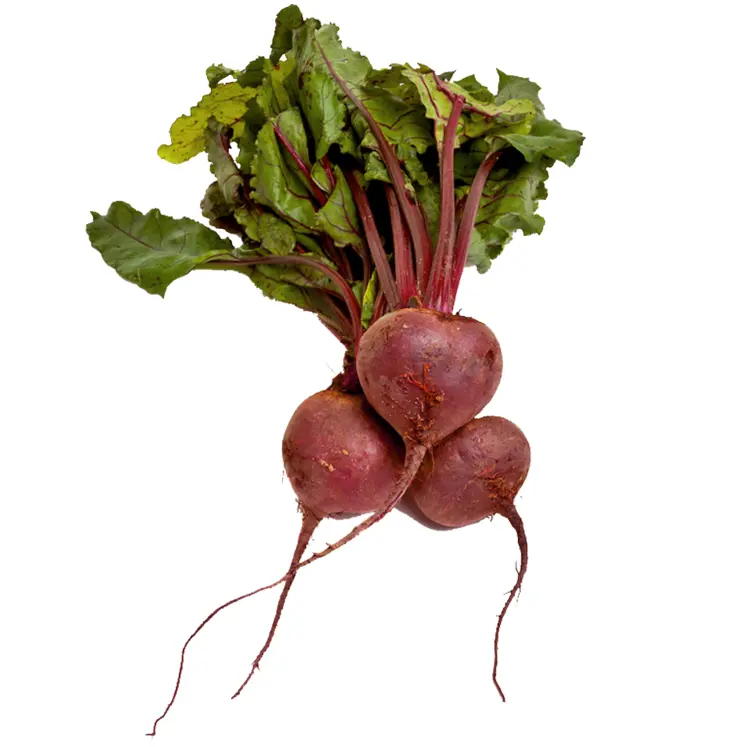Fresh Beetroot with Leaves