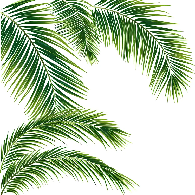 Green Leaves Illustration