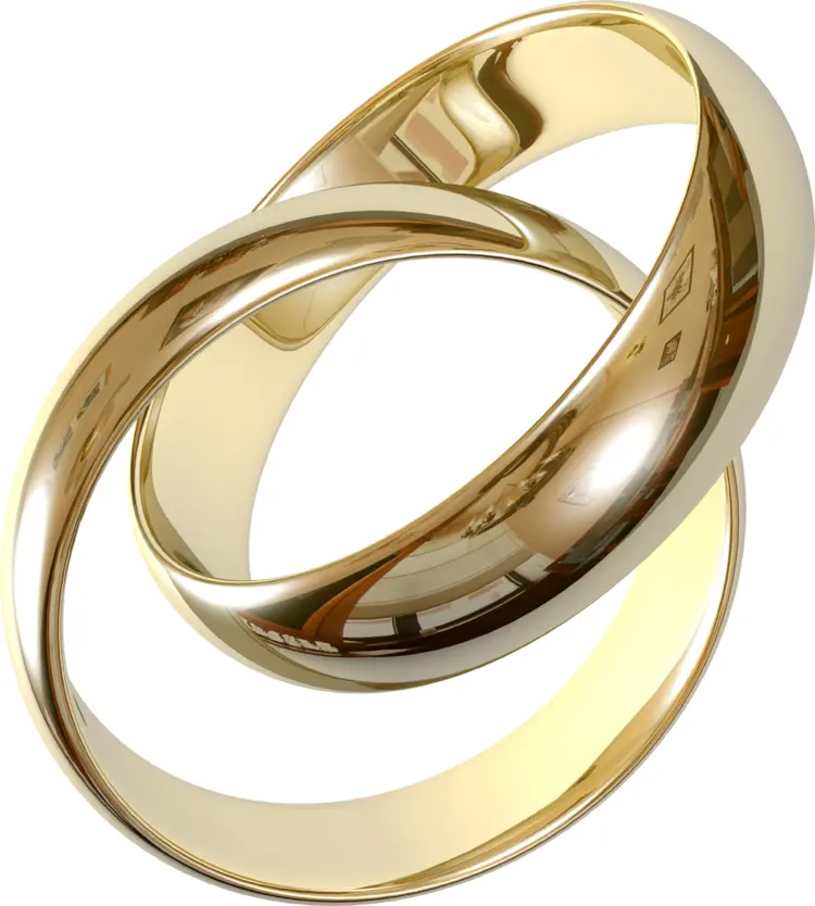 Intertwined Gold Wedding Rings