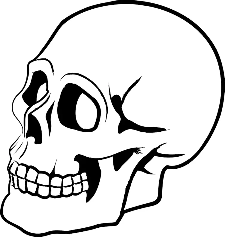 Outlined Skull Illustration