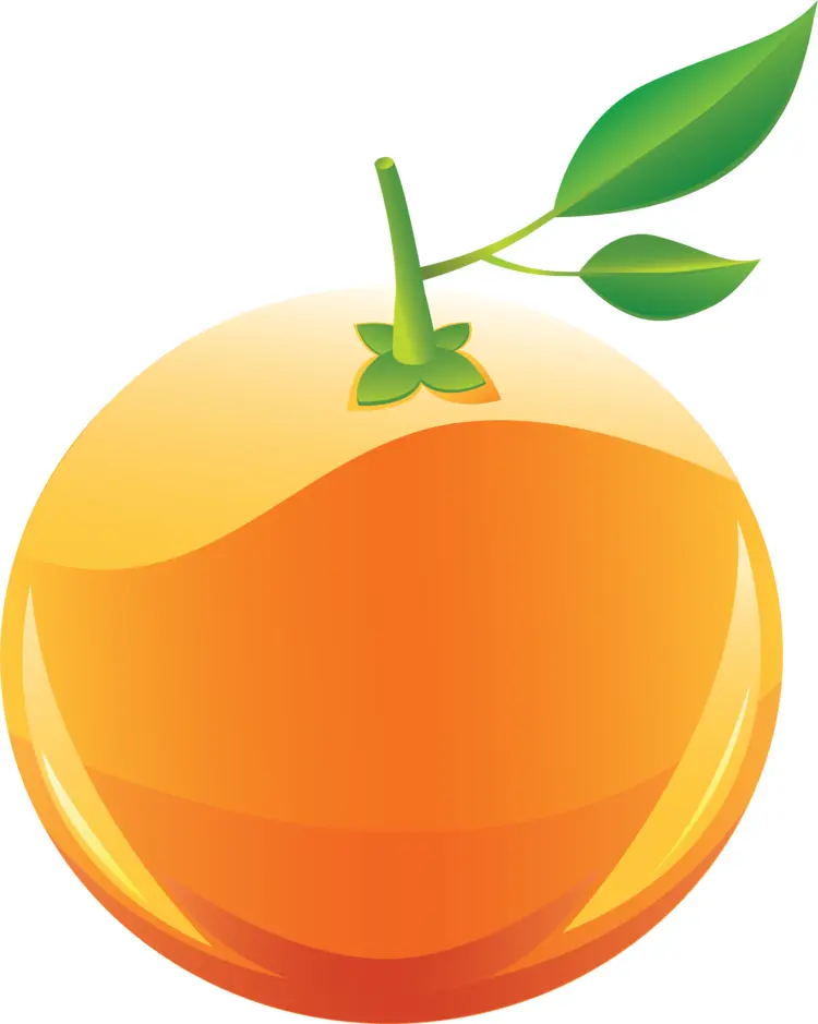 Shiny Orange with Leaves